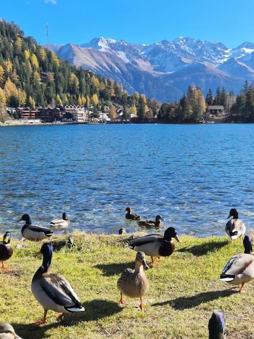 Superbe Appartement Champex-Lac Avec Piscine Et Sauna Exterior foto